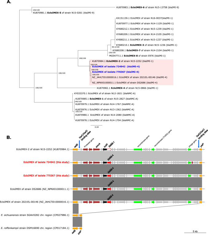 New study on Enterobacter spp carrying blaIMI-4 carbapenemase in Costa Rica