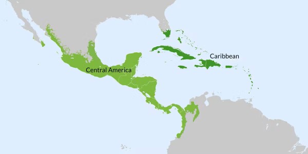 Regional Institutions
